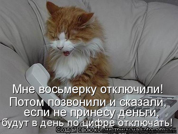Мне восьмерку отключили! Потом позвонили и сказали, если не принесу деньги, будут в день по цифре ... Котоматрица: Мне восьмерку отключили! Потом позвонили и сказали, если не принесу деньги, будут в день по цифре отключать!