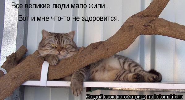 Все великие люди мало жили... Вот и мне что-то не здоровится.... Котоматрица: Все великие люди мало жили... Вот и мне что-то не здоровится.