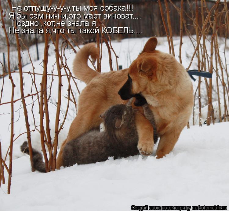 Котоматрица: Не отпущу-у-у-у,ты моя собака!!! Я бы сам ни-ни,это март виноват.... Поздно ,кот,не знала я , Не знала я,что ты такой КОБЕЛЬ....