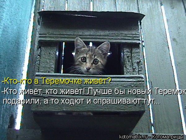 -Кто-кто в Теремочке живёт? -Кто живёт, кто живёт! Лучше бы новый Теремок подарили, а то ходют и спр... Котоматрица: -Кто-кто в Теремочке живёт? -Кто живёт, кто живёт! Лучше бы новый Теремок подарили, а то ходют и спрашивают тут...