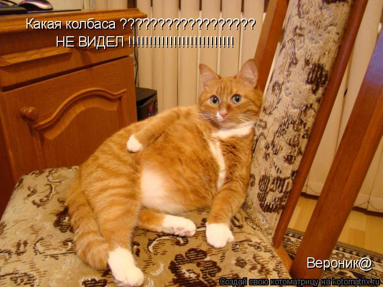 Котоматрица: Какая колбаса ?????????????????? НЕ ВИДЕЛ !!!!!!!!!!!!!!!!!!!!!!!!!! Вероник@