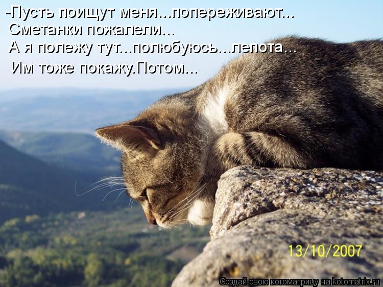 -Пусть поищут меня...попереживают... Сметанки пожалели... А я полежу тут...полюбуюсь...лепота... Им т... Котоматрица: -Пусть поищут меня...попереживают... Сметанки пожалели... А я полежу тут...полюбуюсь...лепота... Им тоже покажу.Потом...