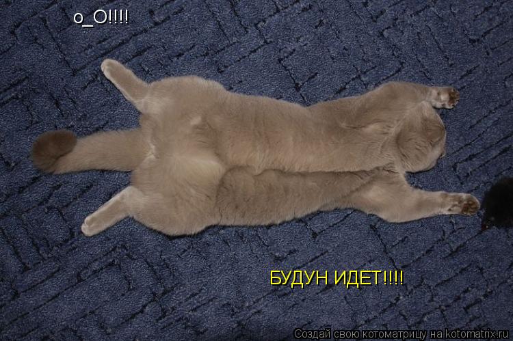 о_О!!!! БУДУН ИДЕТ!!!!... Котоматрица: о_О!!!! БУДУН ИДЕТ!!!!