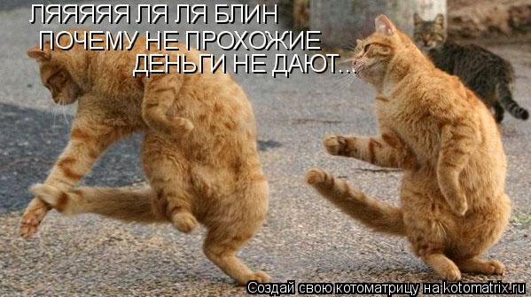 ЛЯЯЯЯЯ ЛЯ ЛЯ БЛИН ПОЧЕМУ НЕ ПРОХОЖИЕ ДЕНЬГИ НЕ ДАЮТ...... Котоматрица: ЛЯЯЯЯЯ ЛЯ ЛЯ БЛИН ПОЧЕМУ НЕ ПРОХОЖИЕ ДЕНЬГИ НЕ ДАЮТ...