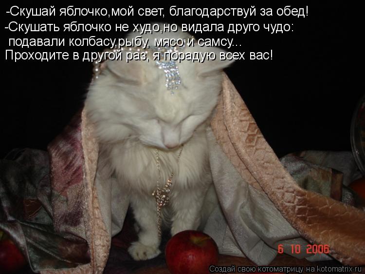 -Скушай яблочко,мой свет, благодарствуй за обед! -Скушать яблочко не худо,но видала друго чудо: подав... Котоматрица: -Скушай яблочко,мой свет, благодарствуй за обед! -Скушать яблочко не худо,но видала друго чудо: подавали колбасу,рыбу, мясо и самсу... Проходи