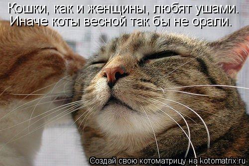 Котоматрица: Кошки, как и женщины, любят ушами.   Иначе коты весной так бы не орали.
