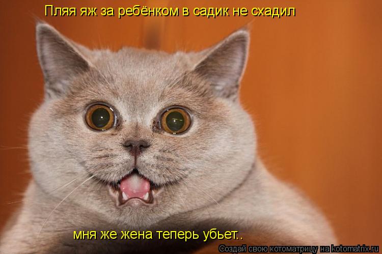 Пляя яж за ребёнком в садик не схадил мня же жена теперь убьет..... Котоматрица: Пляя яж за ребёнком в садик не схадил мня же жена теперь убьет..