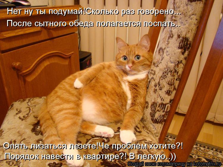 Нет ну ты подумай!Сколько раз говорено... После сытного обеда полагается поспать.. Опять лизаться лез... Котоматрица: Нет ну ты подумай!Сколько раз говорено... После сытного обеда полагается поспать.. Опять лизаться лезете!Че проблем хотите?! Порядок навести