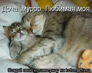 Доча..муррр..Любимая моя Доча..муррр..Любимая моя... Котоматрица: Доча..муррр..Любимая моя Доча..муррр..Любимая моя