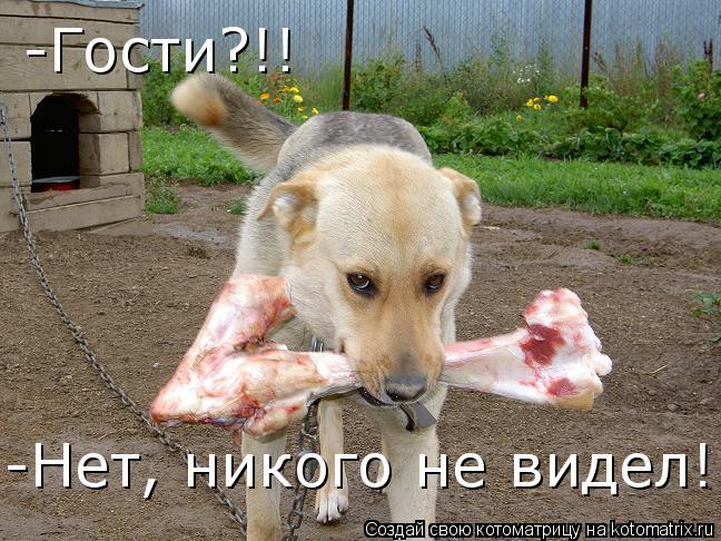 -Гости?!! -Нет, никого не видел!... Котоматрица: -Гости?!! -Нет, никого не видел!