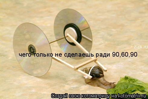 чего только не сделаешь ради 90,60,90... Котоматрица: чего только не сделаешь ради 90,60,90