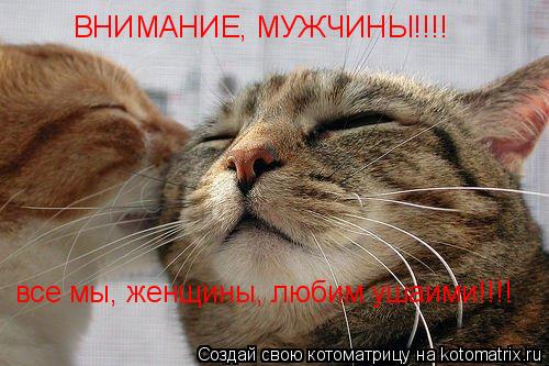 все мы, женщины, любим ушаими!!!! ВНИМАНИЕ, МУЖЧИНЫ!!!!... Котоматрица: все мы, женщины, любим ушаими!!!! ВНИМАНИЕ, МУЖЧИНЫ!!!!