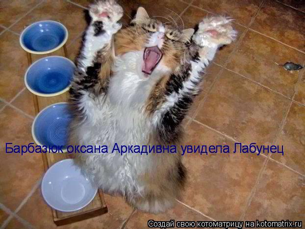Барбазюк оксана Аркадивна увидела Лабунец Барбазюк оксана Аркадивна увидела Лабунец... Котоматрица: Барбазюк оксана Аркадивна увидела Лабунец Барбазюк оксана Аркадивна увидела Лабунец