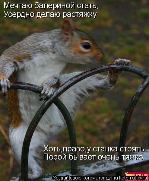 Мечтаю балериной стать, Усердно делаю растяжку Хоть,право,у станка стоять Порой бывает очень тяжко.... Котоматрица: Мечтаю балериной стать, Усердно делаю растяжку Хоть,право,у станка стоять Порой бывает очень тяжко.