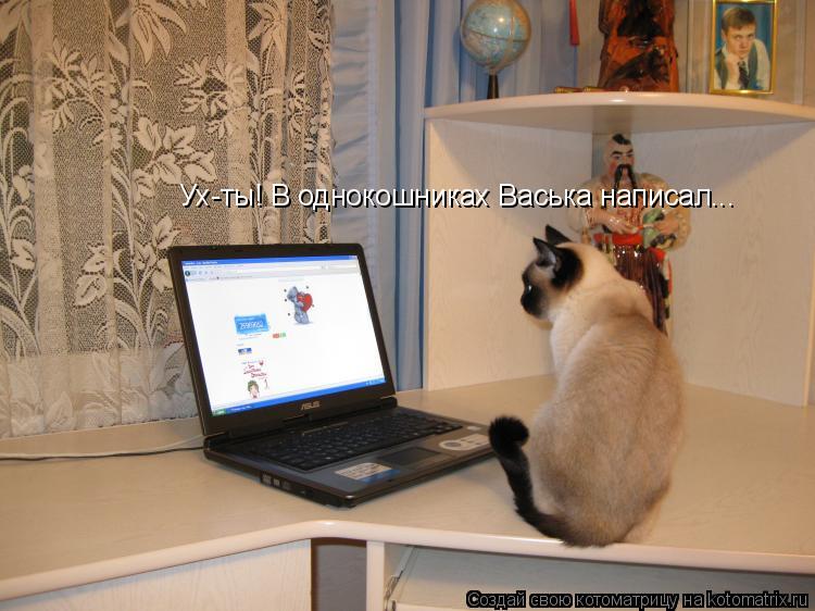 Ух-ты! В однокошниках Васька написал...... Котоматрица: Ух-ты! В однокошниках Васька написал...