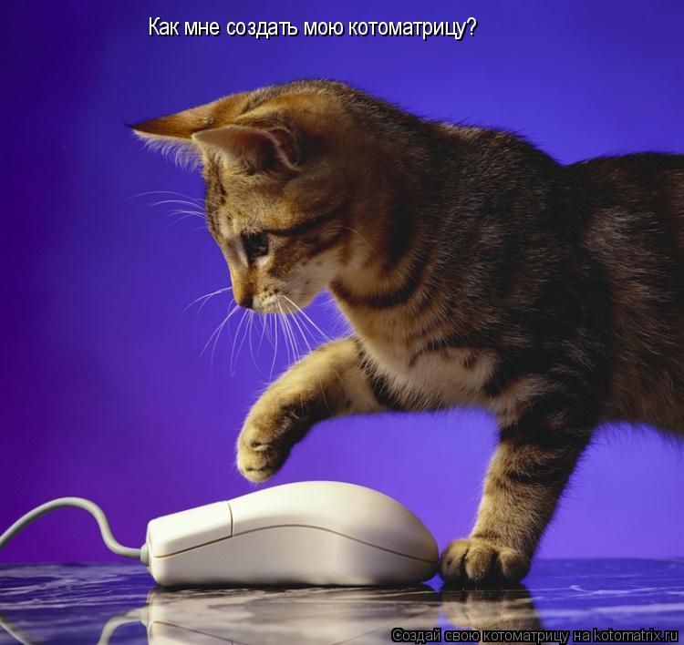 Как мне создать мою котоматрицу?... Котоматрица: Как мне создать мою котоматрицу?