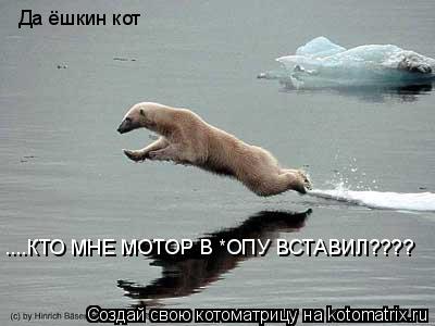 Да ёшкин кот ....КТО МНЕ МОТОР В *ОПУ ВСТАВИЛ????... Котоматрица: Да ёшкин кот ....КТО МНЕ МОТОР В *ОПУ ВСТАВИЛ????