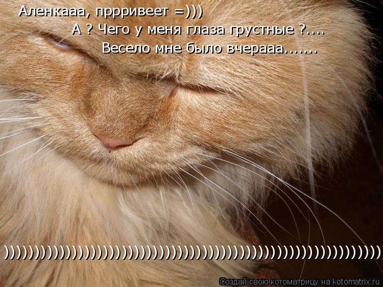 Аленкааа, пррривеет =))) А ? Чего у меня глаза грустные ?.... Весело мне было вчерааа....... ))))))))... Котоматрица: Аленкааа, пррривеет =))) А ? Чего у меня глаза грустные ?.... Весело мне было вчерааа....... )))))))))))))))))))))))))))))))))))))))))))))))))))))))))