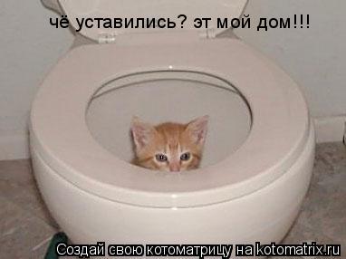 чё уставились? эт мой дом!!!... Котоматрица: чё уставились? эт мой дом!!!