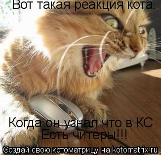 Вот такая реакция кота. Когда он узнал что в КС Есть читеры!!!... Котоматрица: Вот такая реакция кота. Когда он узнал что в КС Есть читеры!!!
