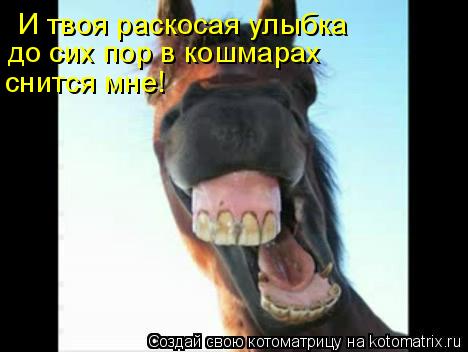 И твоя раскосая улыбка до сих пор в кошмарах снится мне!... Котоматрица: И твоя раскосая улыбка до сих пор в кошмарах снится мне!