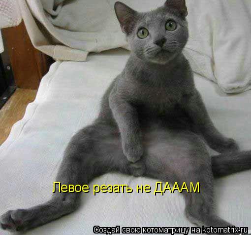Левое резать не ДАААМ... Котоматрица: Левое резать не ДАААМ
