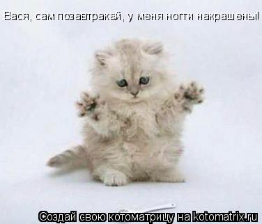 Вася, сам позавтракай, у меня ногти накрашены!!!... Котоматрица: Вася, сам позавтракай, у меня ногти накрашены!!!