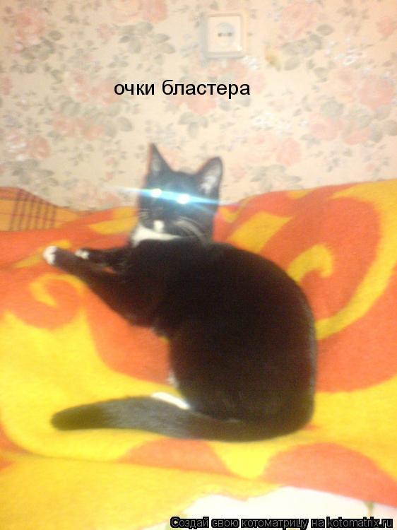 очки бластера... Котоматрица: очки бластера
