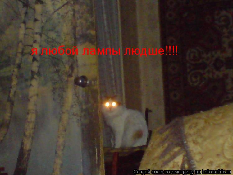 я любой лампы людше!!!!... Котоматрица: я любой лампы людше!!!!