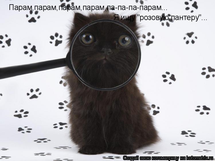 Парам,парам,парам,парам,па-па-па-парам... Я ищу "розовую пантеру"...... Котоматрица: Парам,парам,парам,парам,па-па-па-парам... Я ищу "розовую пантеру"...