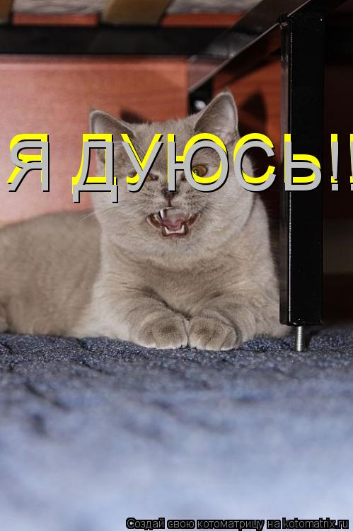 Я ДУЮСЬ!!!!!!!!!!!!!!!!!!!!!!!!!!!!! Я ДУЮСЬ!!!!!!!!!!!!!!!!!!!!!!!!!!!!!... Котоматрица: Я ДУЮСЬ!!!!!!!!!!!!!!!!!!!!!!!!!!!!! Я ДУЮСЬ!!!!!!!!!!!!!!!!!!!!!!!!!!!!!
