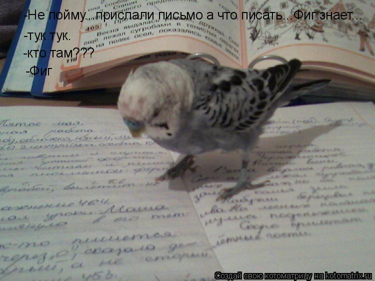 -Не пойму...прислали письмо а что писать...Фиг знает... -тук тук. -тук тук. -кто там??? -Фиг... Котоматрица: -Не пойму...прислали письмо а что писать...Фиг знает... -тук тук. -тук тук. -кто там??? -Фиг