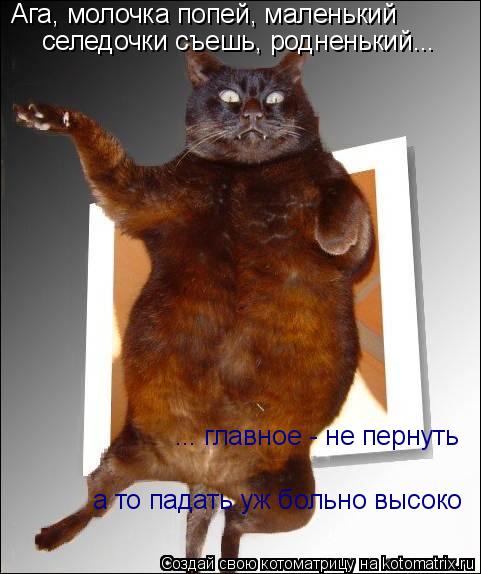 Ага, молочка попей, маленький селедочки съешь, родненький... ... главное - не пернуть а то падать уж ... Котоматрица: Ага, молочка попей, маленький селедочки съешь, родненький... ... главное - не пернуть а то падать уж больно высоко
