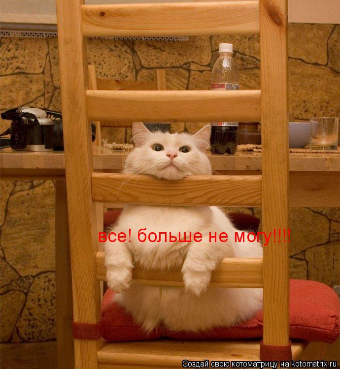 все! больше не могу!!!!... Котоматрица: все! больше не могу!!!!
