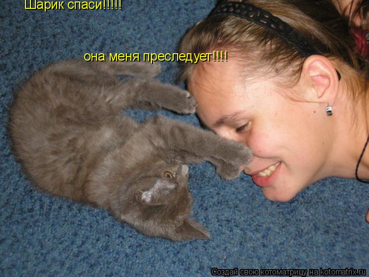 Шарик спаси!!!!! она меня преследует!!!!... Котоматрица: Шарик спаси!!!!! она меня преследует!!!!