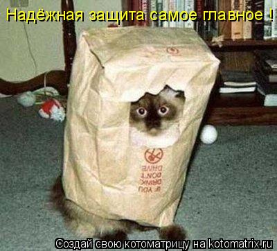 Надёжная защита самое главное !... Котоматрица: Надёжная защита самое главное !