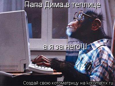 Папа Дима в теплице аи а я за него!!!... Котоматрица: Папа Дима в теплице аи а я за него!!!