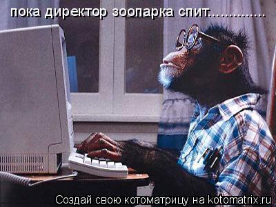 пока директор зоопарка спит................. Котоматрица: пока директор зоопарка спит..............