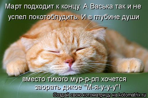 Март подходит к концу. А Васька так и не успел покотоблудить. И в глубине души вместо тихого мур-р-р... Котоматрица: Март подходит к концу. А Васька так и не успел покотоблудить. И в глубине души вместо тихого мур-р-рл хочется заорать дикое "М-я-у-у-у"!