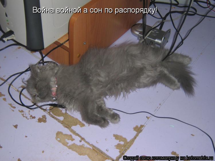 Война войной а сон по распорядку!... Котоматрица: Война войной а сон по распорядку!