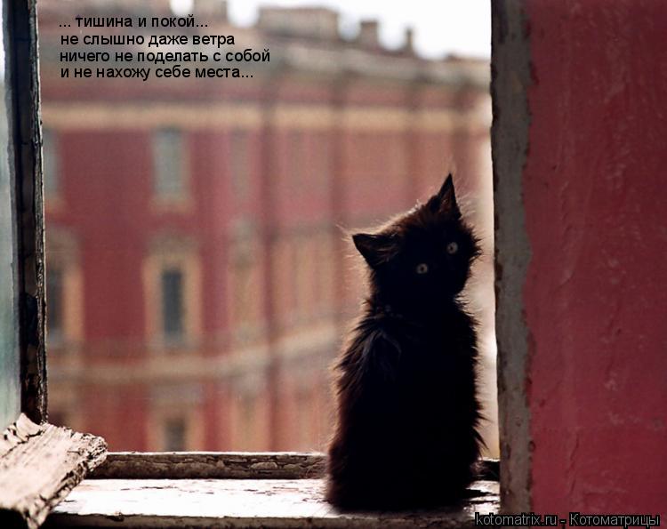 ... тишина и покой... не слышно даже ветра ничего не поделать с собой и не нахожу себе места...... Котоматрица: ... тишина и покой... не слышно даже ветра ничего не поделать с собой и не нахожу себе места...