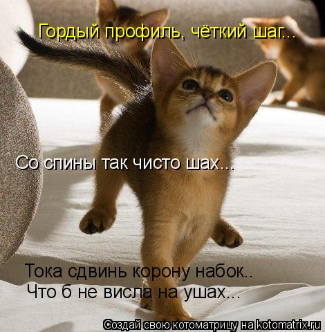 Гордый профиль, чёткий шаг... Со спины так чисто шах... Тока сдвинь корону набок.. Что б не висла на ... Котоматрица: Гордый профиль, чёткий шаг... Со спины так чисто шах... Тока сдвинь корону набок.. Что б не висла на ушах...