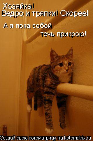 Хозяйка! Ведро и тряпки! Скорее! А я пока собой течь прикрою!... Котоматрица: Хозяйка! Ведро и тряпки! Скорее! А я пока собой течь прикрою!