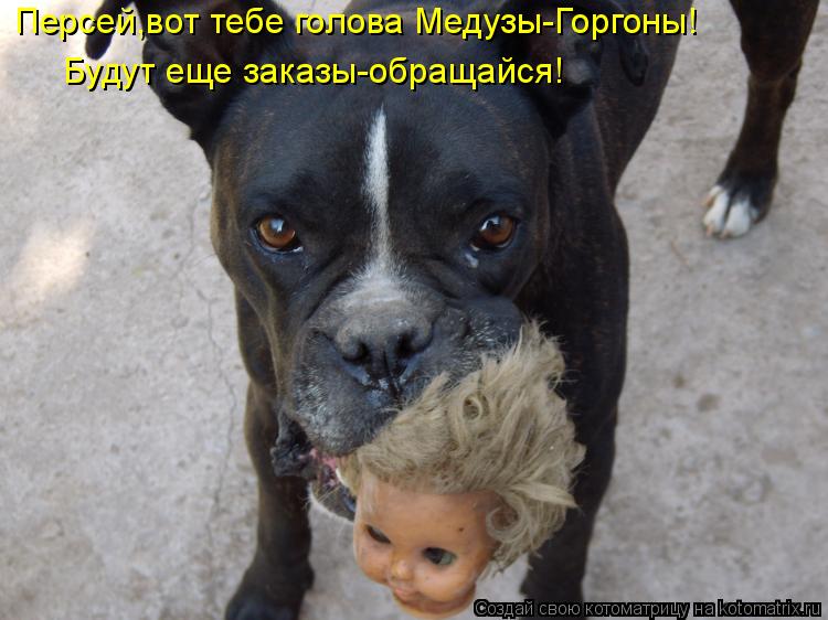 Персей,вот тебе голова Медузы-Горгоны! Будут еще заказы-обращайся!... Котоматрица: Персей,вот тебе голова Медузы-Горгоны! Будут еще заказы-обращайся!