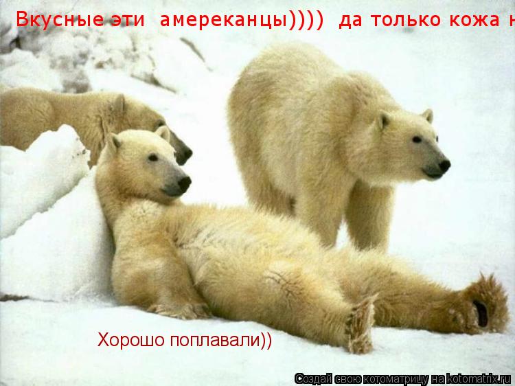 Вкусные эти амереканцы)))) да только кожа не очень светлая))) Хорошо поплавали))... Котоматрица: Вкусные эти амереканцы)))) да только кожа не очень светлая))) Хорошо поплавали))