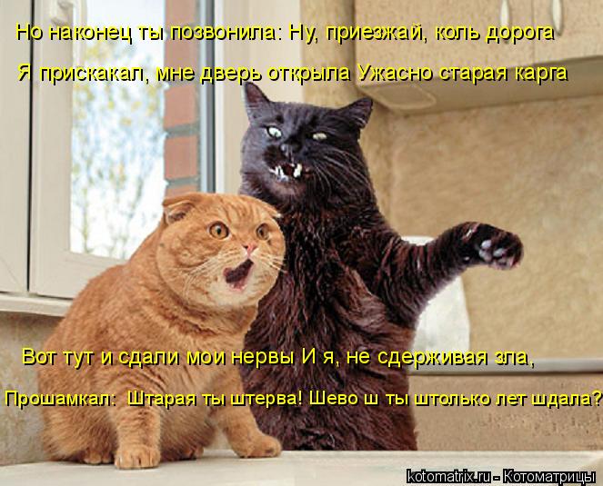 Но наконец ты позвонила:«Ну, приезжай, коль дорога» Я прискакал, мне дверь открыла Ужасно старая кар... Котоматрица: Но наконец ты позвонила:«Ну, приезжай, коль дорога» Я прискакал, мне дверь открыла Ужасно старая карга Вот тут и сдали мои нервы И я, не сдер