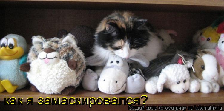 как я замаскировался? как я замаскировался?... Котоматрица: как я замаскировался? как я замаскировался?
