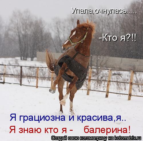 Упала,очнулась..... -Кто я?!! Я грациозна и красива,я.. Я знаю кто я- балерина! Я знаю кто ... Котоматрица: Упала,очнулась..... -Кто я?!! Я грациозна и красива,я.. Я знаю кто я- балерина! Я знаю кто я - балерина!