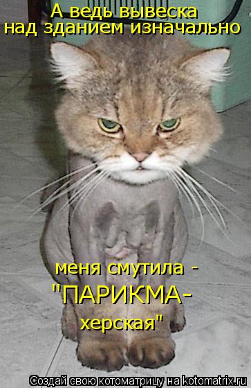 А ведь вывеска над зданием изначально меня смутила - херская" "ПАРИКМА-... Котоматрица: А ведь вывеска над зданием изначально меня смутила - херская" "ПАРИКМА-