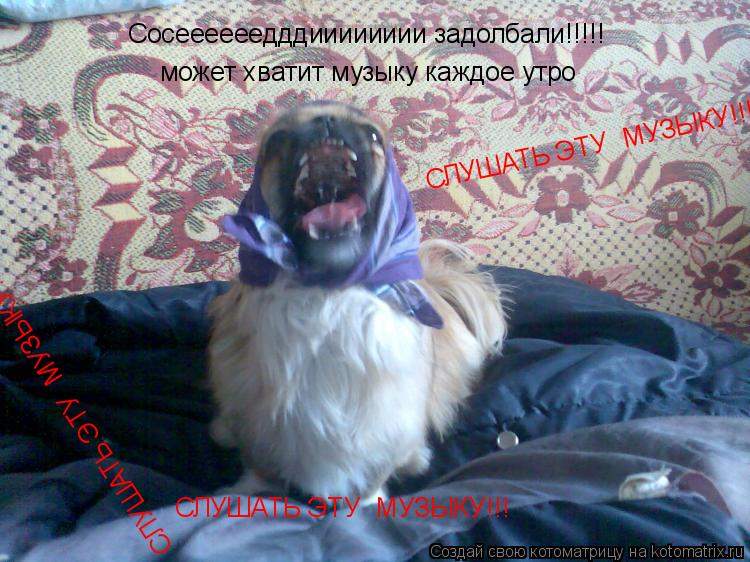 Сосеееееедддииииииии задолбали!!!!! может хватит музыку каждое утро СЛУШАТЬ ЭТУ МУЗЫКУ!!! СЛУШАТЬ ЭТ... Котоматрица: Сосеееееедддииииииии задолбали!!!!! может хватит музыку каждое утро СЛУШАТЬ ЭТУ МУЗЫКУ!!! СЛУШАТЬ ЭТУ МУЗЫКУ!!! СЛУШАТЬ ЭТУ МУЗЫКУ!!!